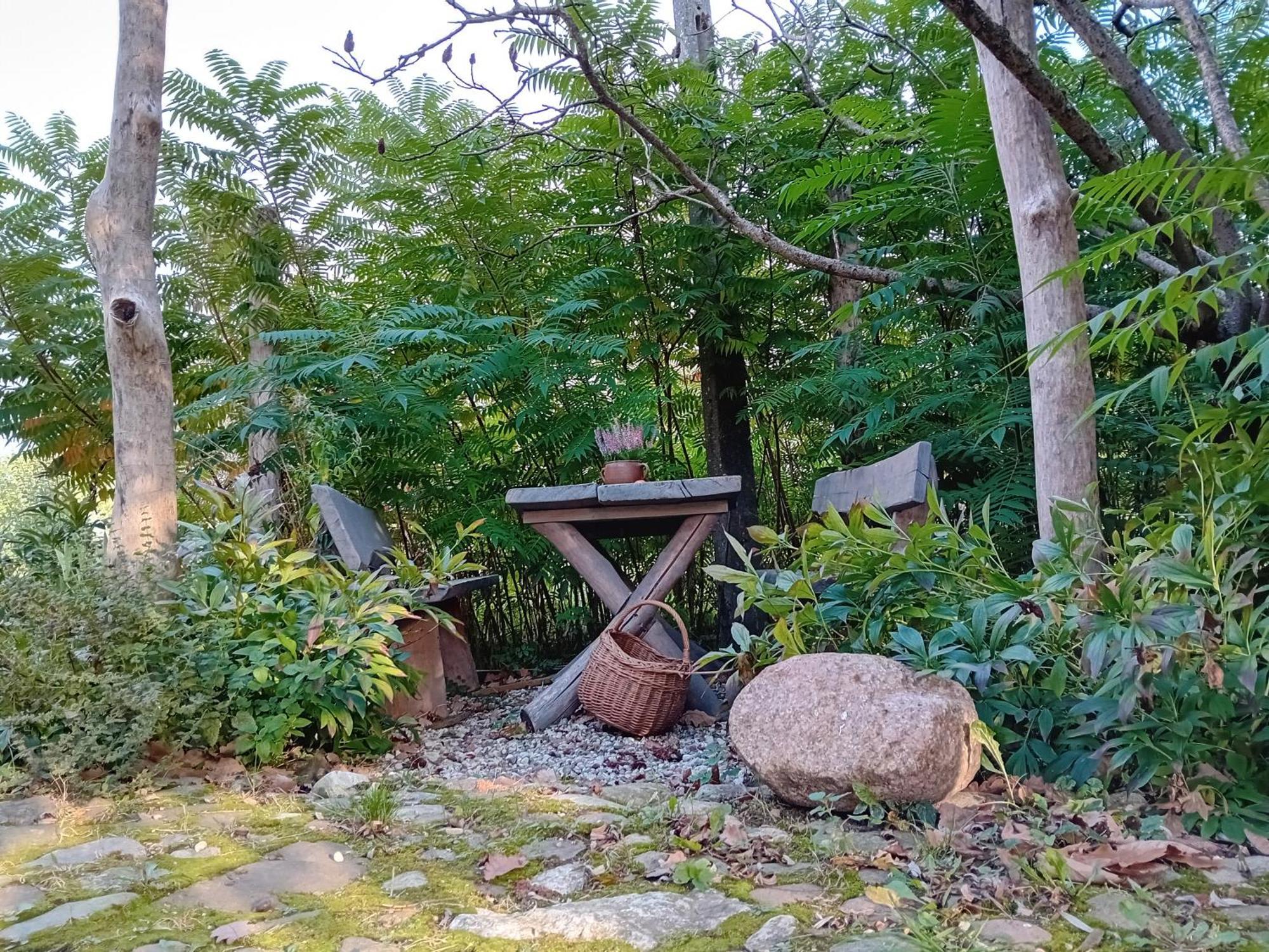 Stara Szkolas7 Noclegi,Mzajezierze 8 14-330 Mazury 마우디티 외부 사진
